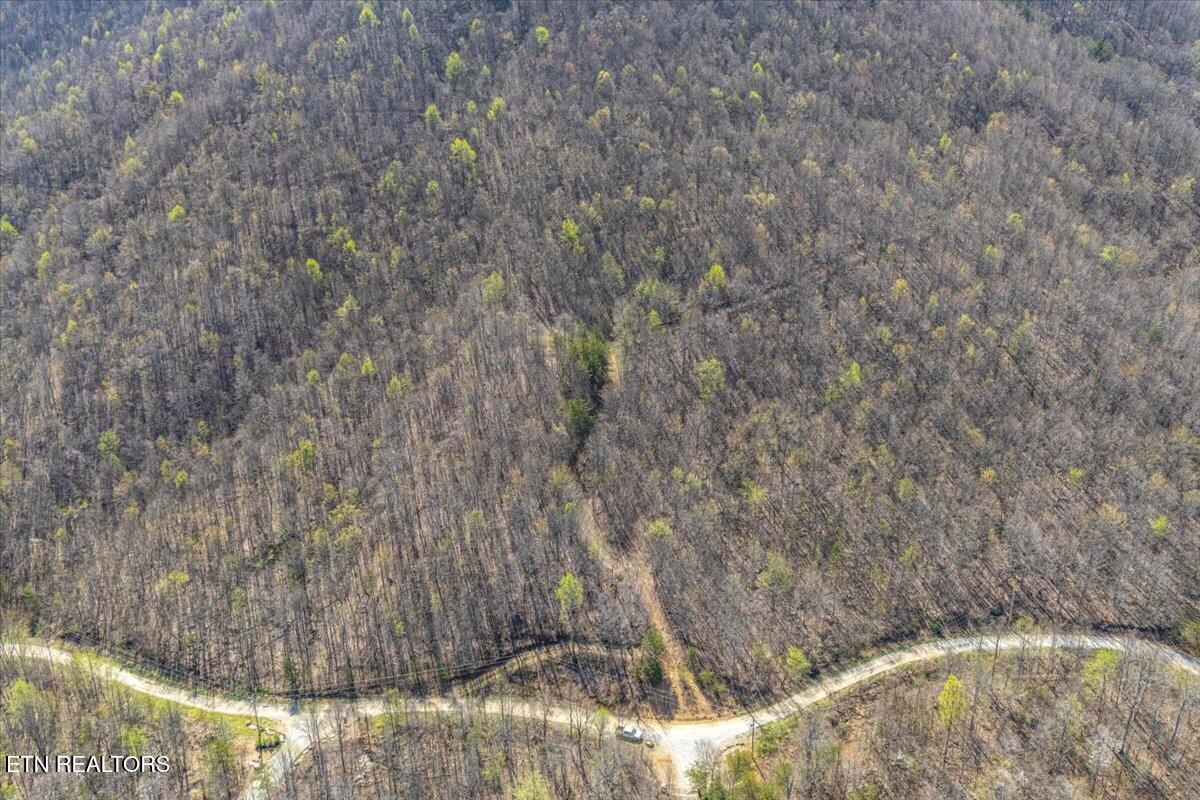 422 Crooked Branch Road Huntsville TN 37756