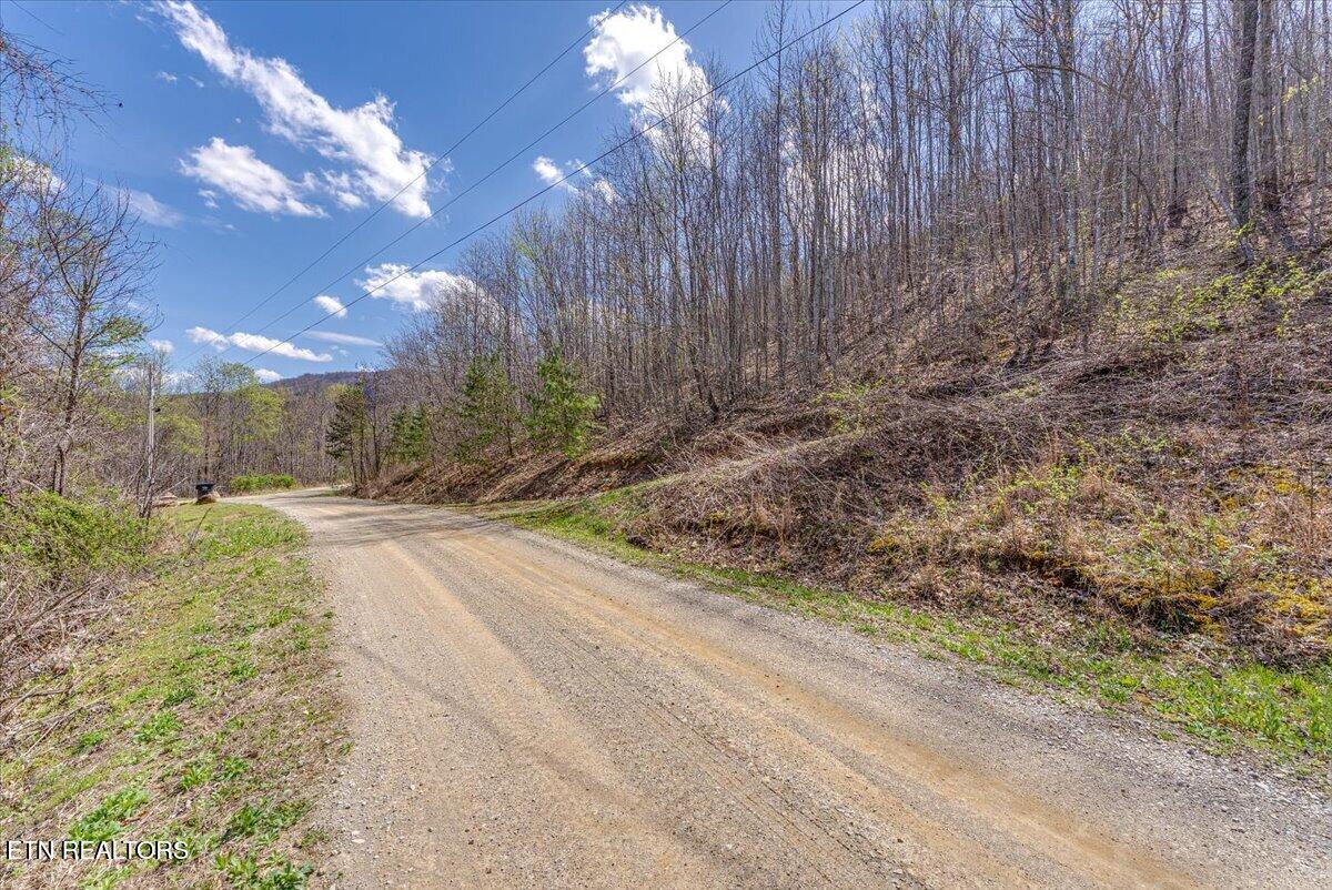422 Crooked Branch Road Huntsville TN 37756