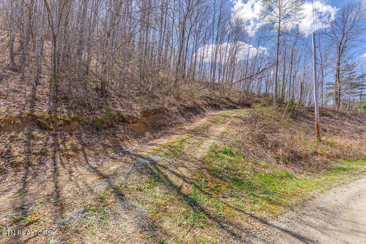 422 Crooked Branch Road Huntsville TN 37756