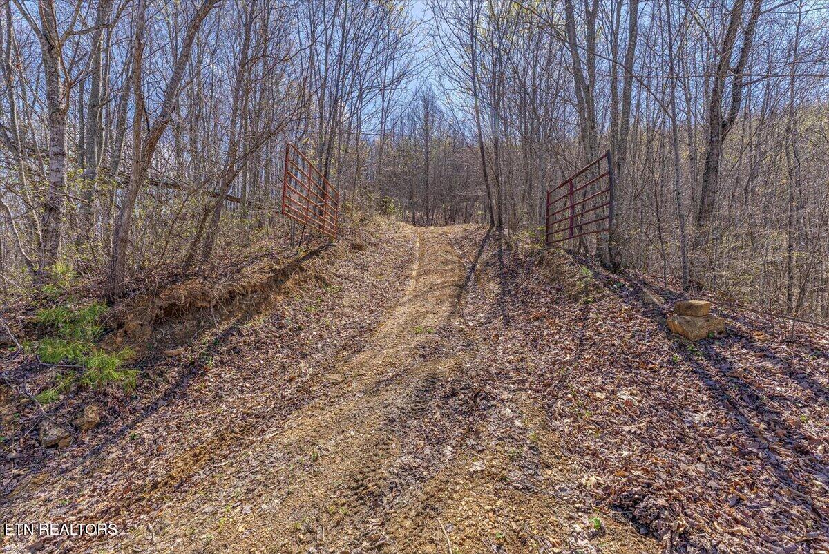 422 Crooked Branch Road Huntsville TN 37756