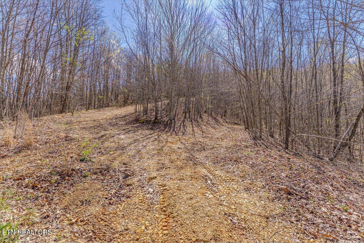 422 Crooked Branch Road Huntsville TN 37756