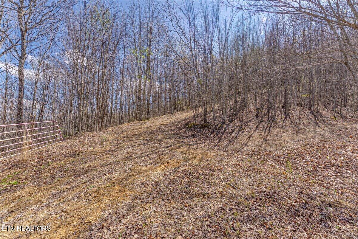 422 Crooked Branch Road Huntsville TN 37756