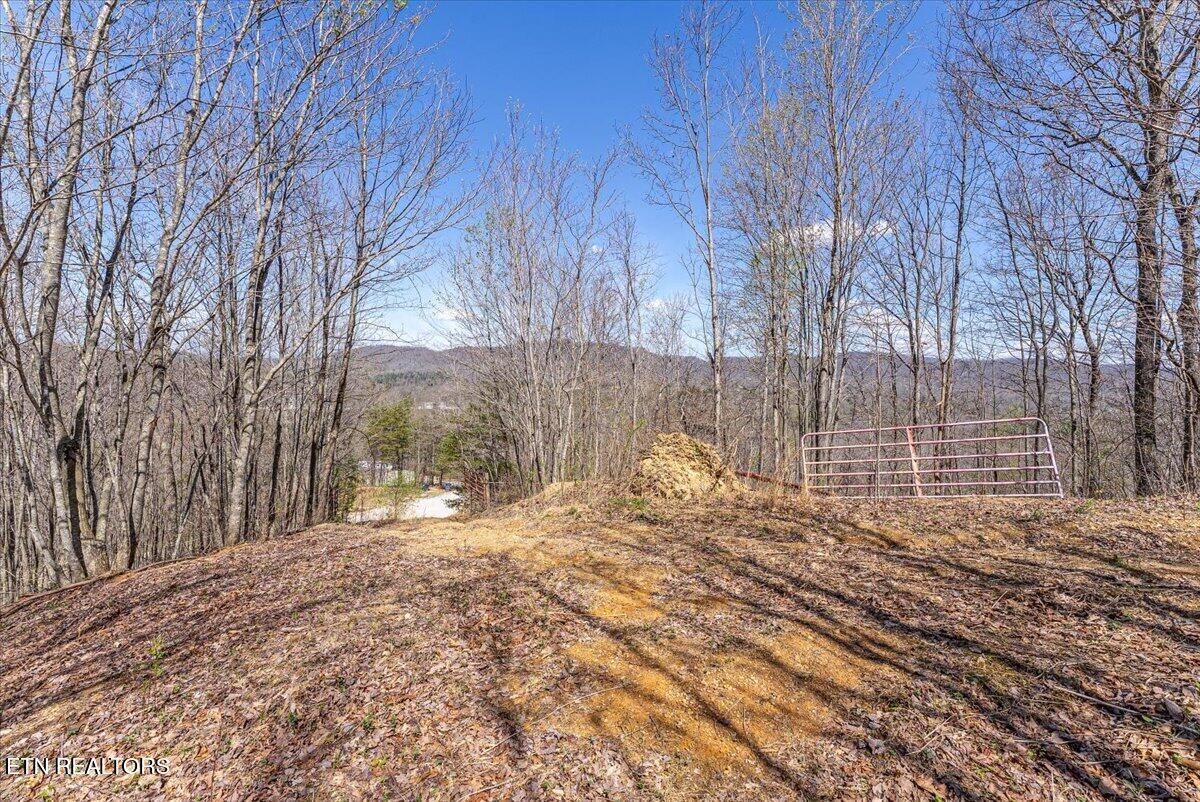 422 Crooked Branch Road Huntsville TN 37756
