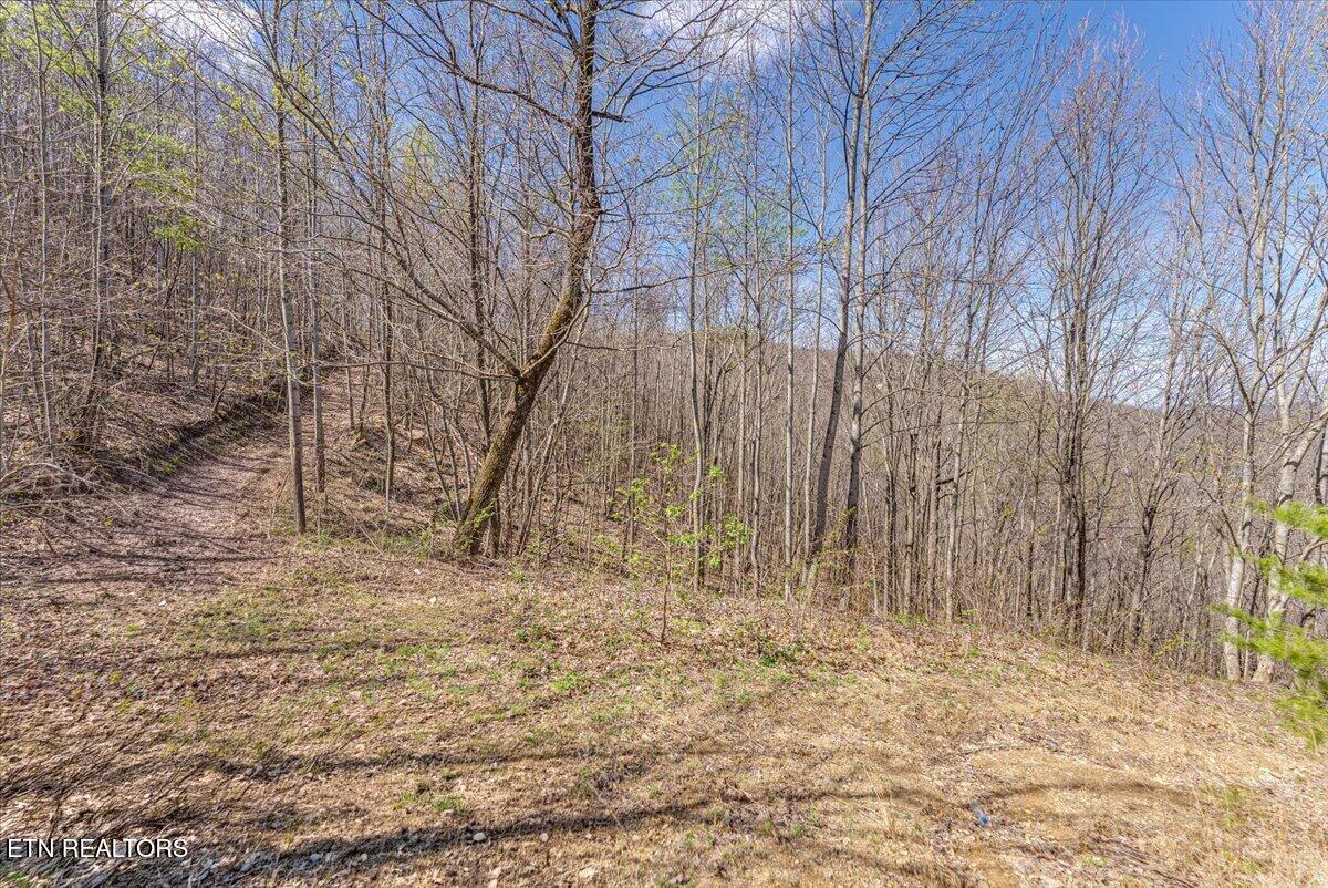 422 Crooked Branch Road Huntsville TN 37756