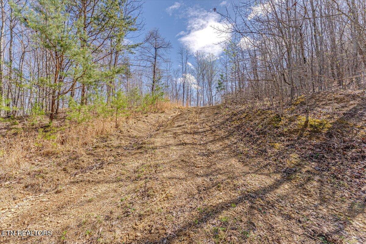 422 Crooked Branch Road Huntsville TN 37756