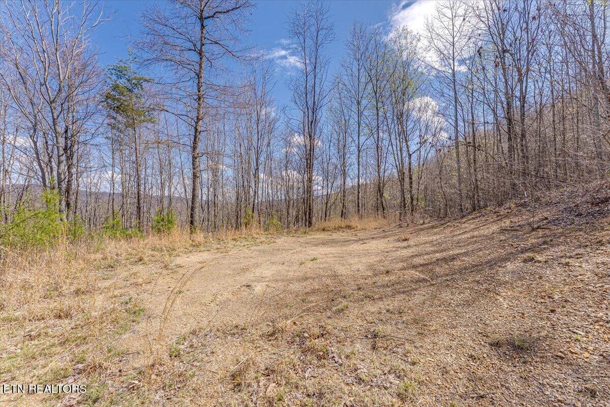 422 Crooked Branch Road Huntsville TN 37756