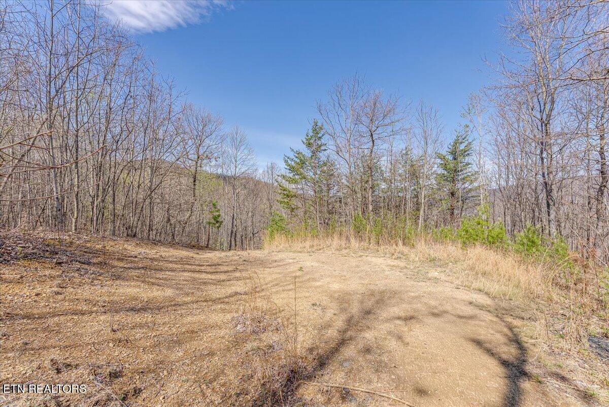 422 Crooked Branch Road Huntsville TN 37756