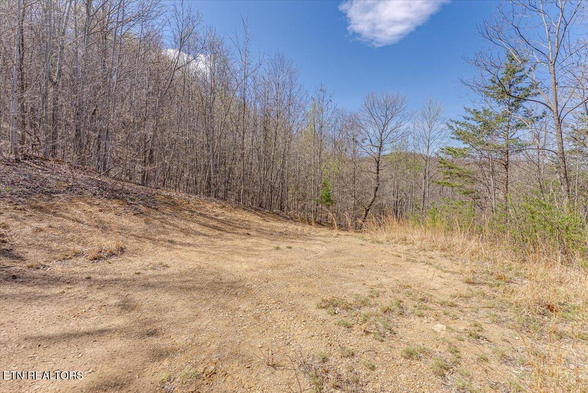 422 Crooked Branch Road Huntsville TN 37756