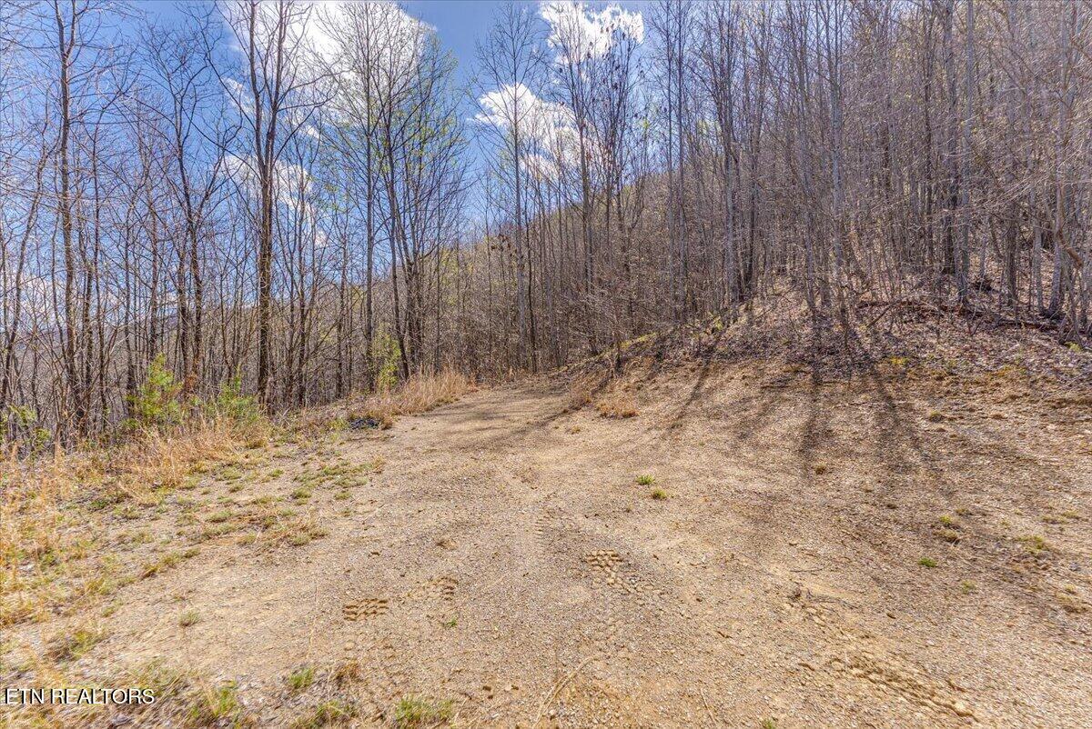 422 Crooked Branch Road Huntsville TN 37756