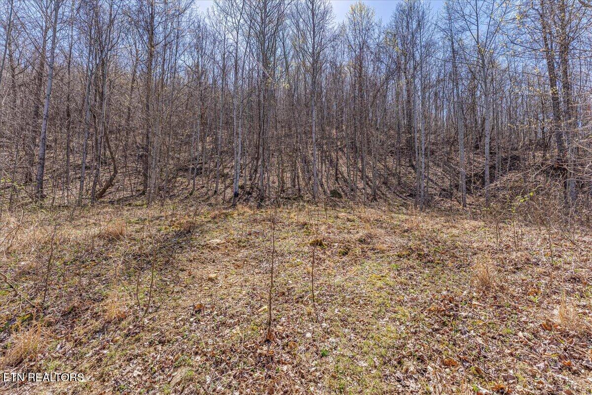422 Crooked Branch Road Huntsville TN 37756