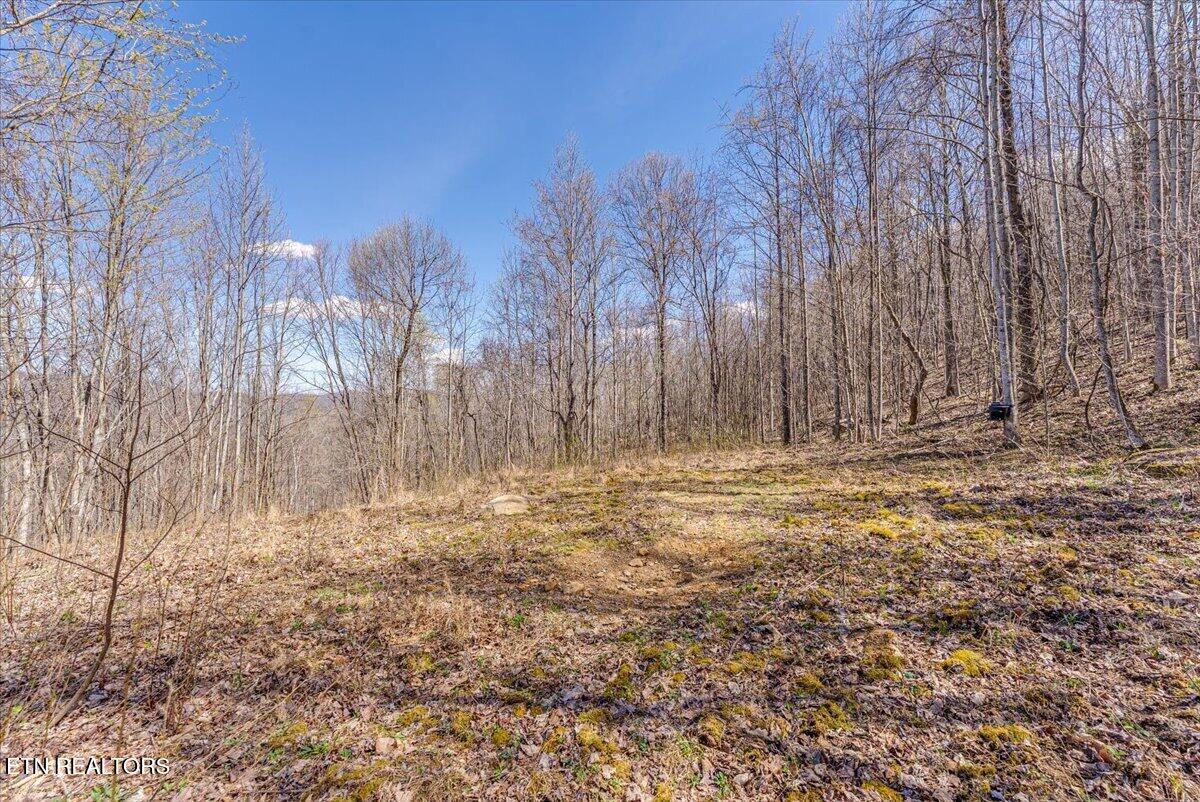422 Crooked Branch Road Huntsville TN 37756