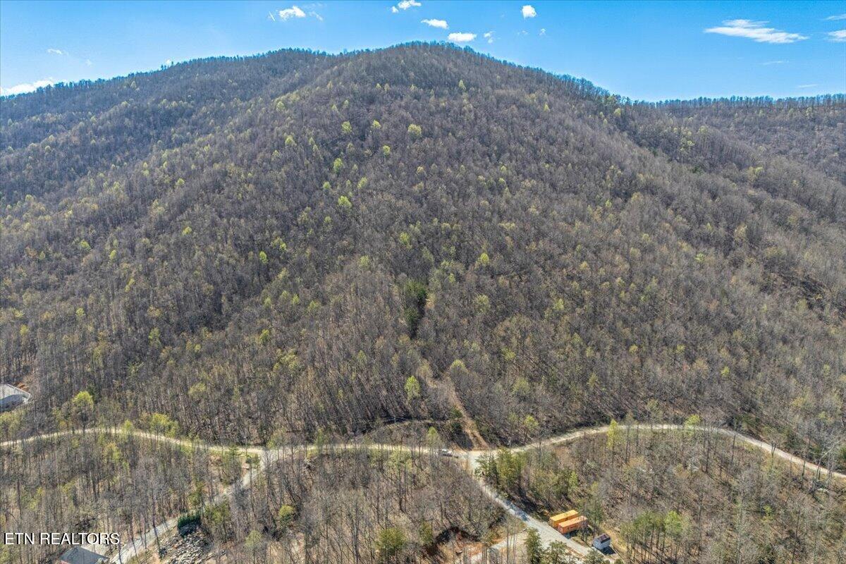 422 Crooked Branch Road Huntsville TN 37756