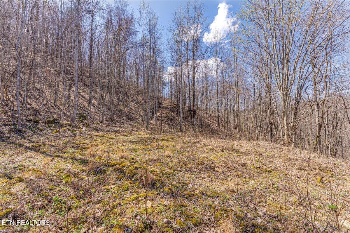 422 Crooked Branch Road Huntsville TN 37756