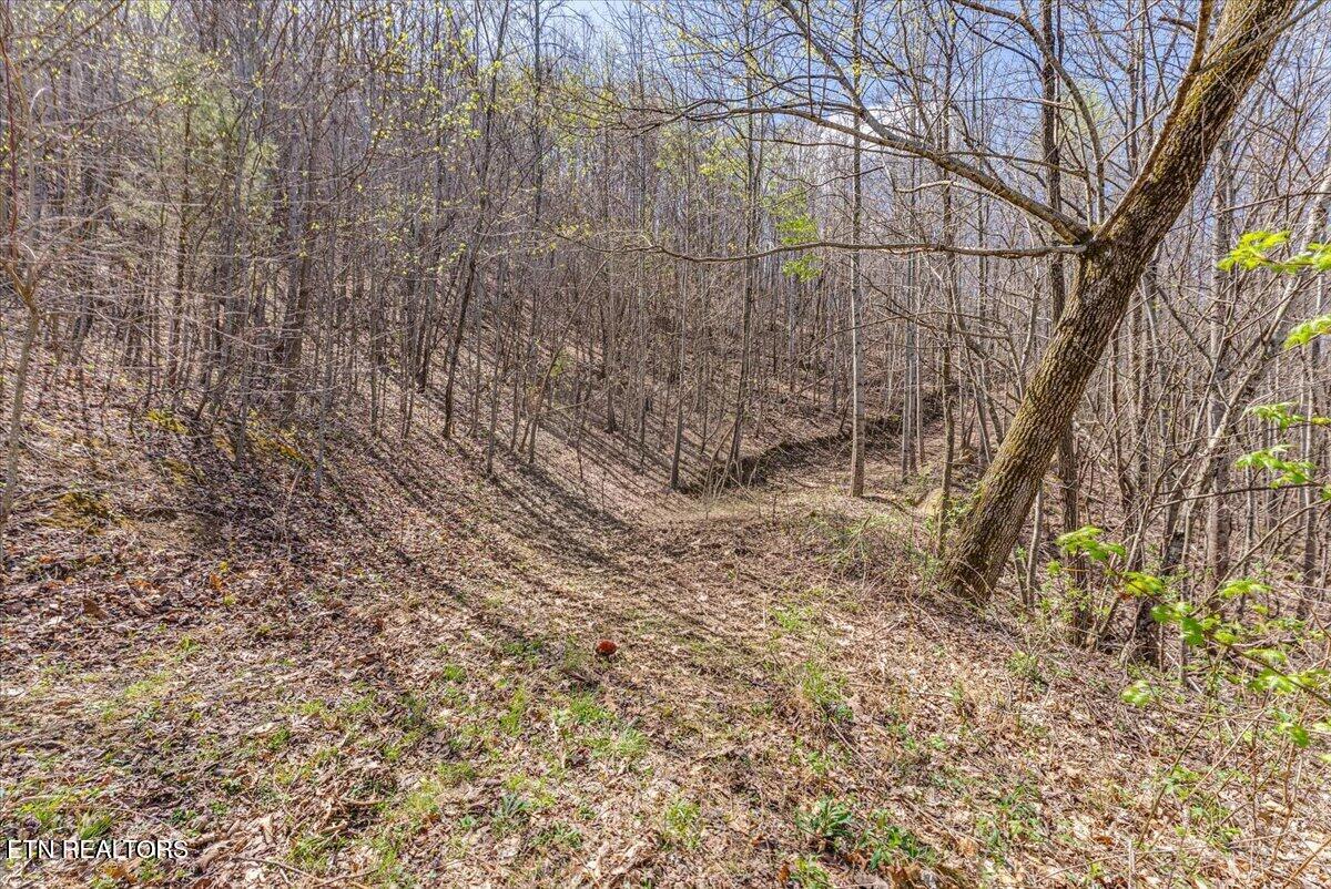 422 Crooked Branch Road Huntsville TN 37756