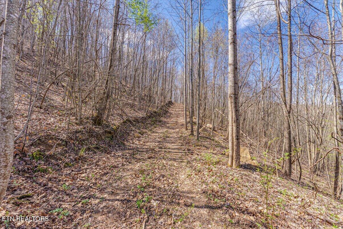 422 Crooked Branch Road Huntsville TN 37756