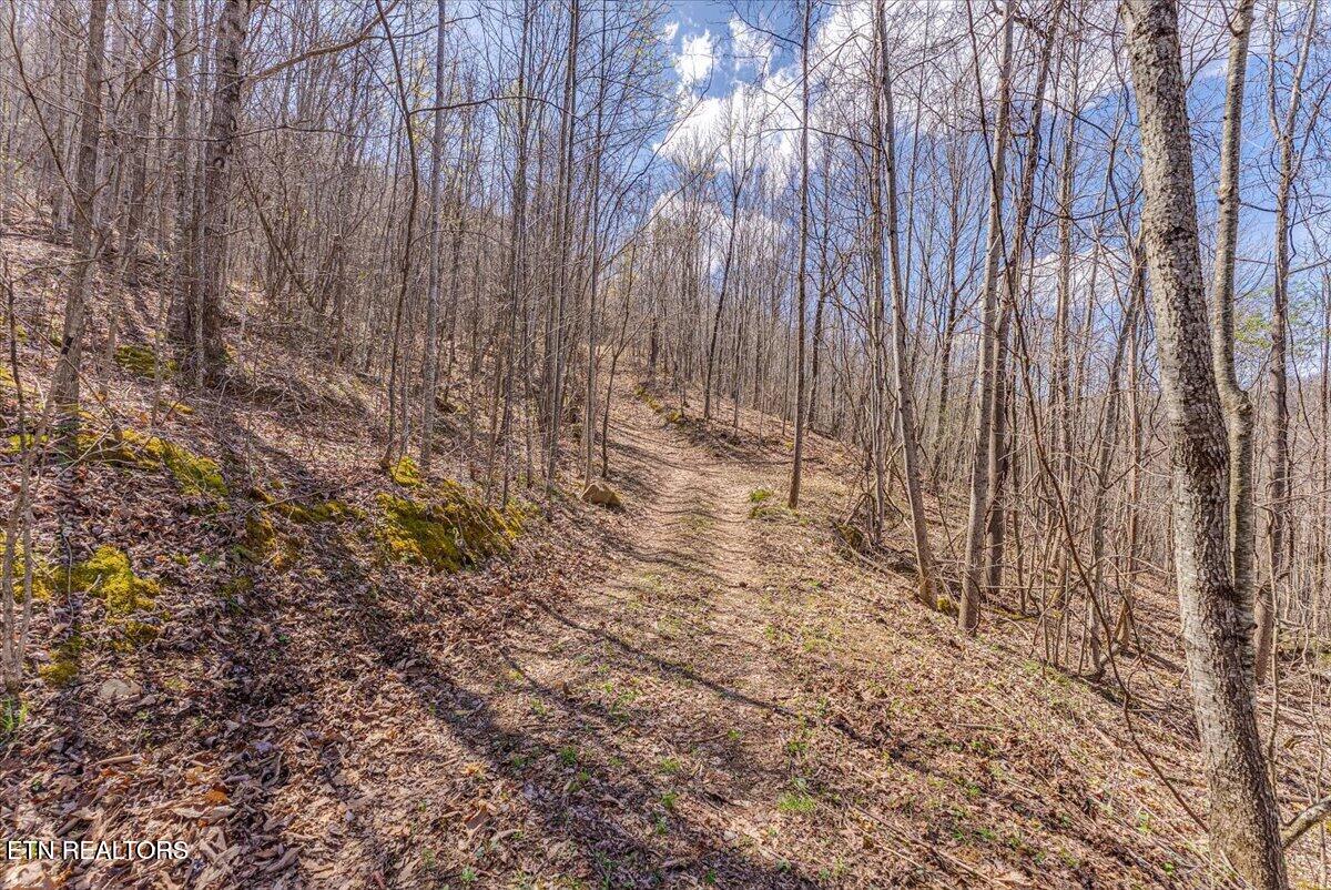 422 Crooked Branch Road Huntsville TN 37756