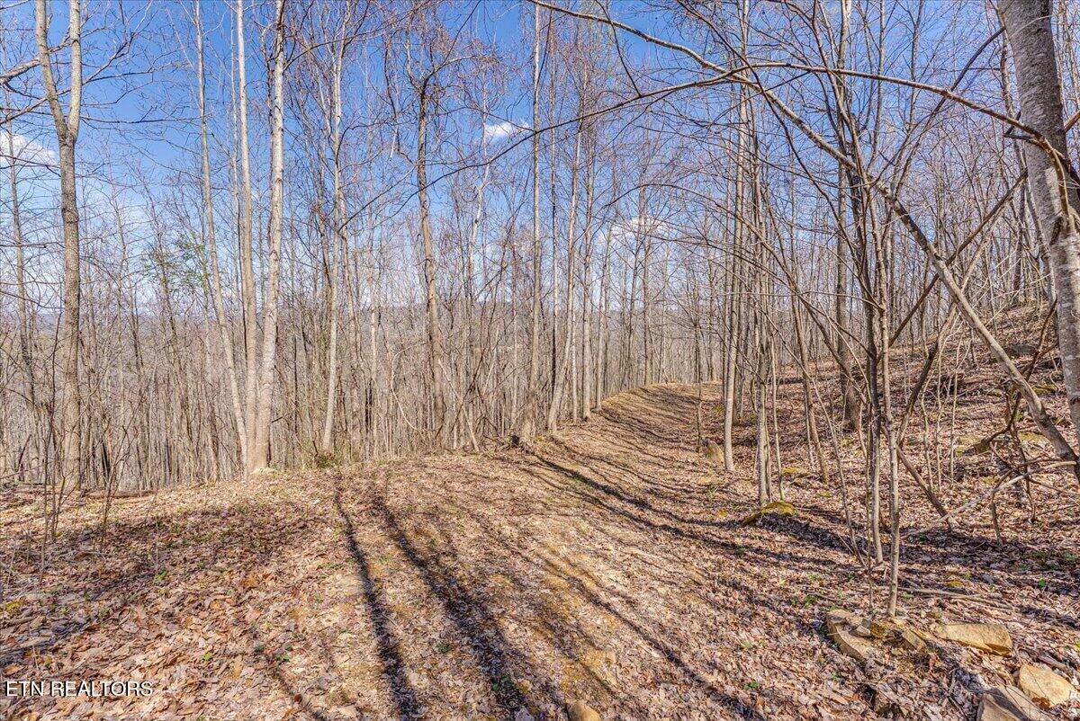 422 Crooked Branch Road Huntsville TN 37756