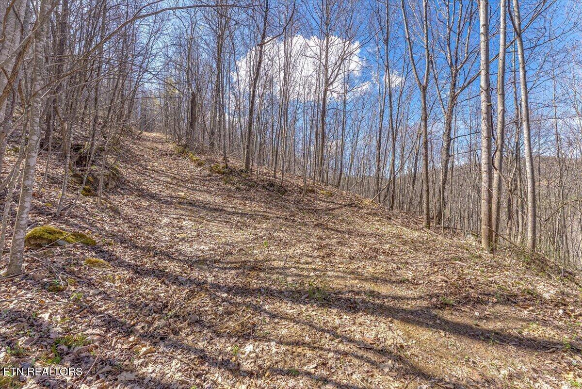 422 Crooked Branch Road Huntsville TN 37756