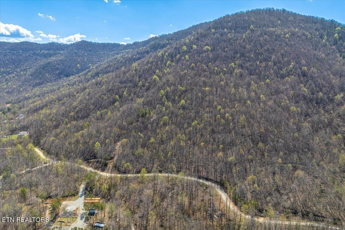 422 Crooked Branch Road Huntsville TN 37756