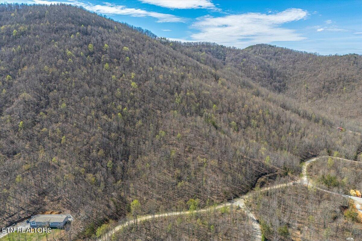 422 Crooked Branch Road Huntsville TN 37756