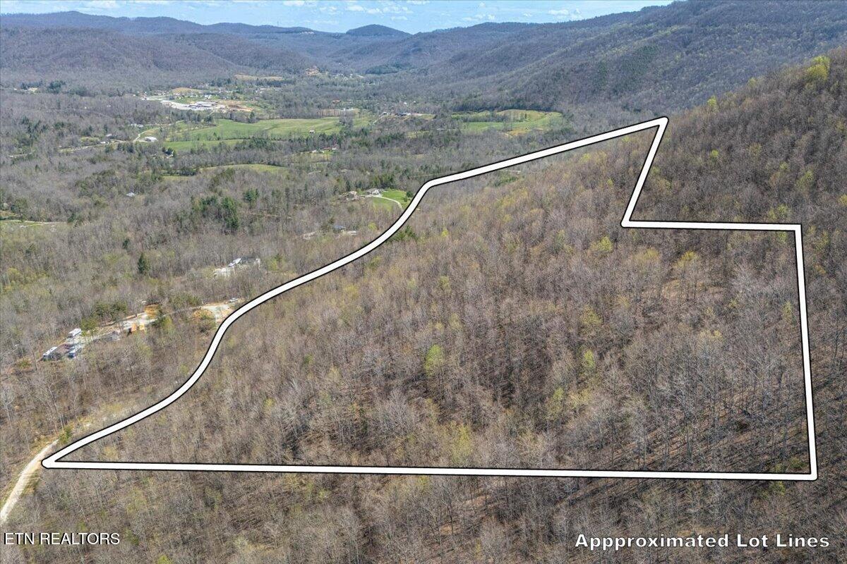 422 Crooked Branch Road Huntsville TN 37756