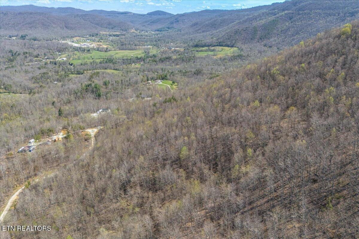 422 Crooked Branch Road Huntsville TN 37756