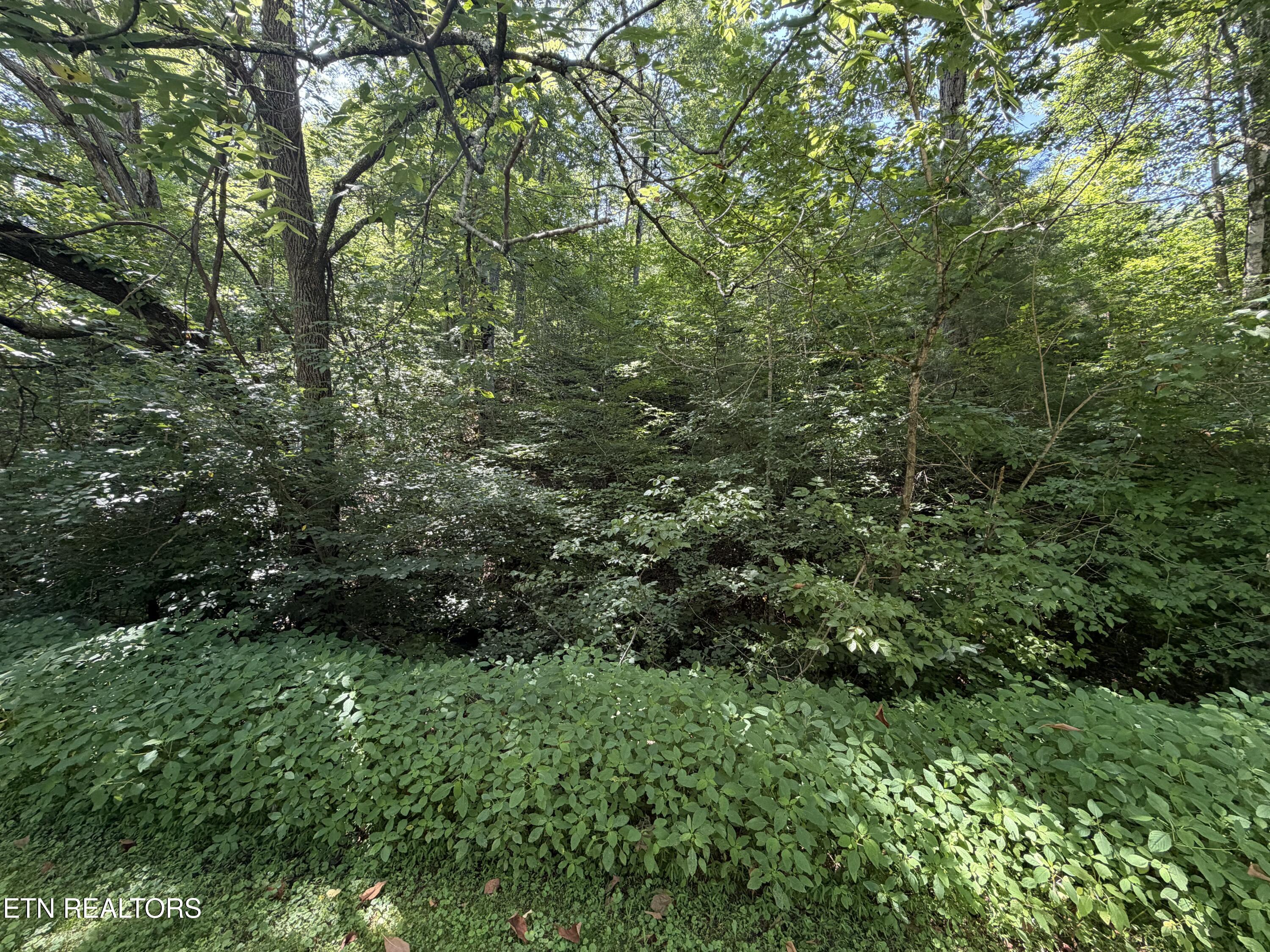 Lot 11 Smoky Mountain Way Sevierville TN 37876