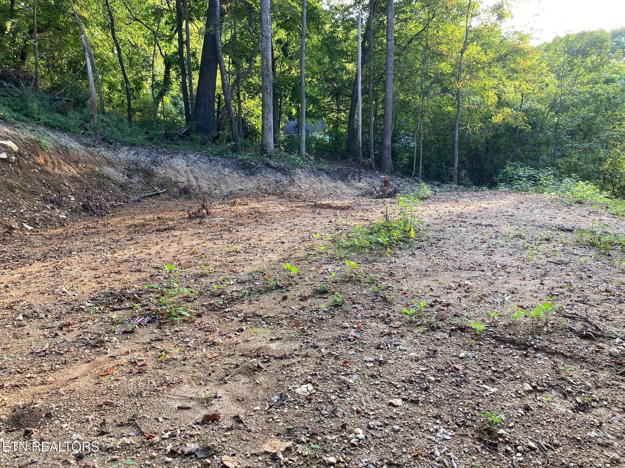 311 W Chestnut Street Lafollette TN 37766