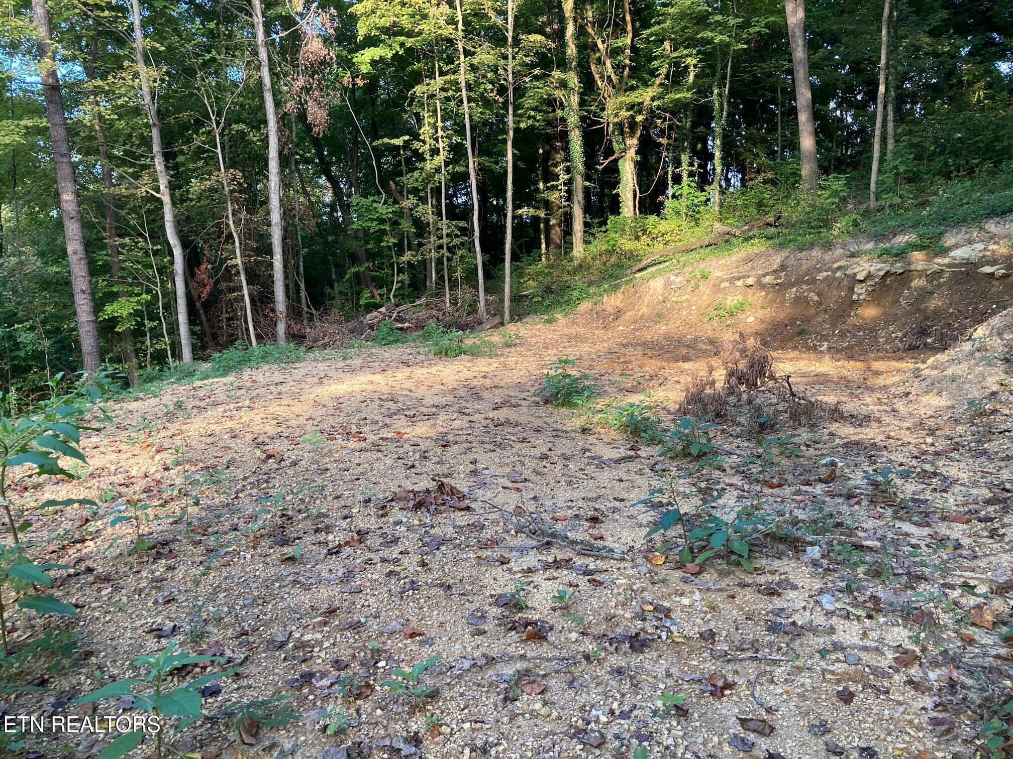 311 W Chestnut Street Lafollette TN 37766