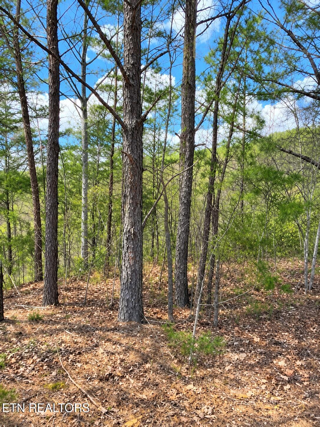 Lot 90 Mountain Boulevard Sevierville TN 37876