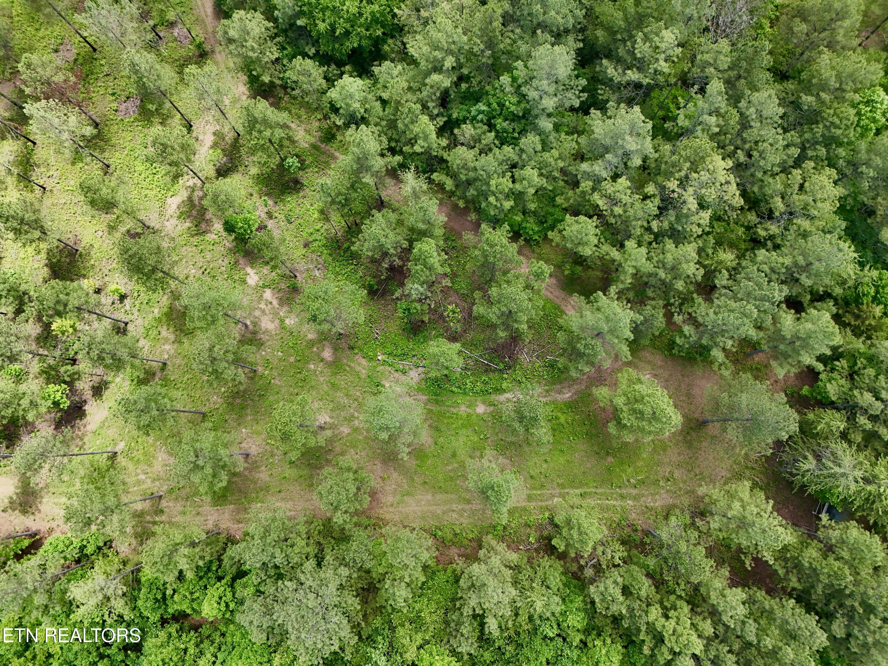 Co Road 214 Niota TN 37826