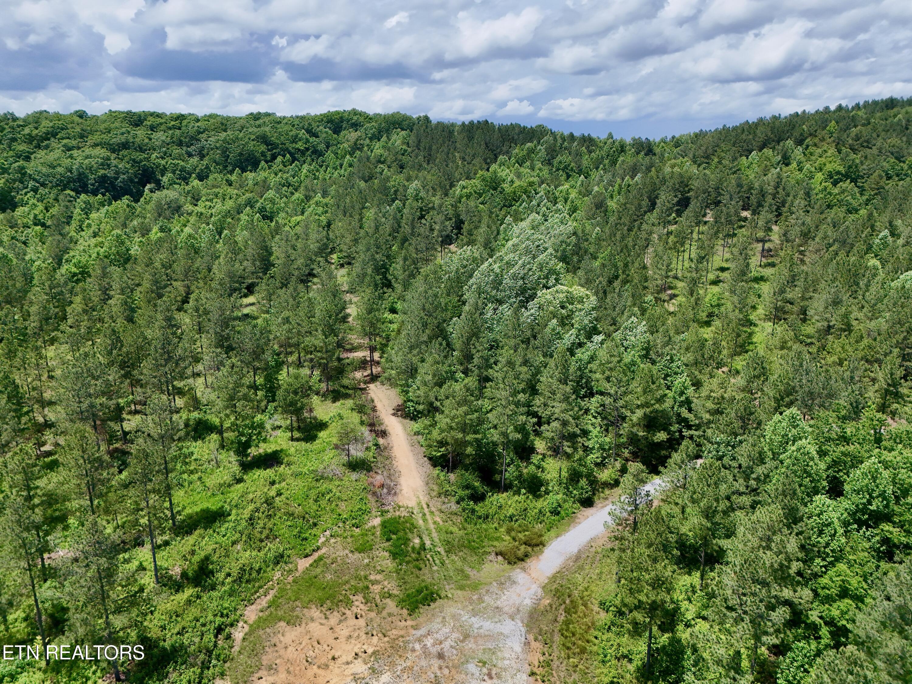 Co Road 214 Niota TN 37826