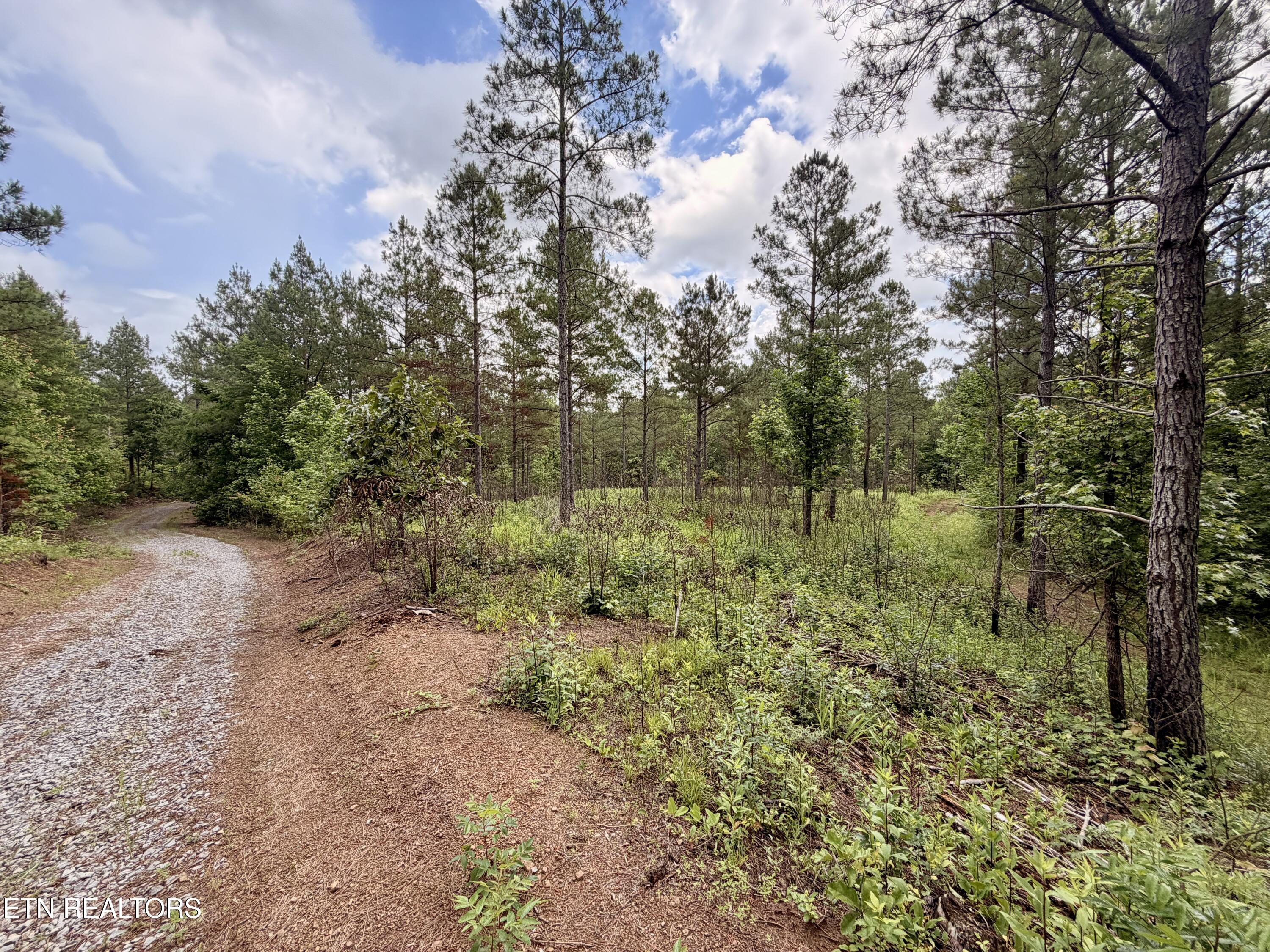Co Road 214 Niota TN 37826