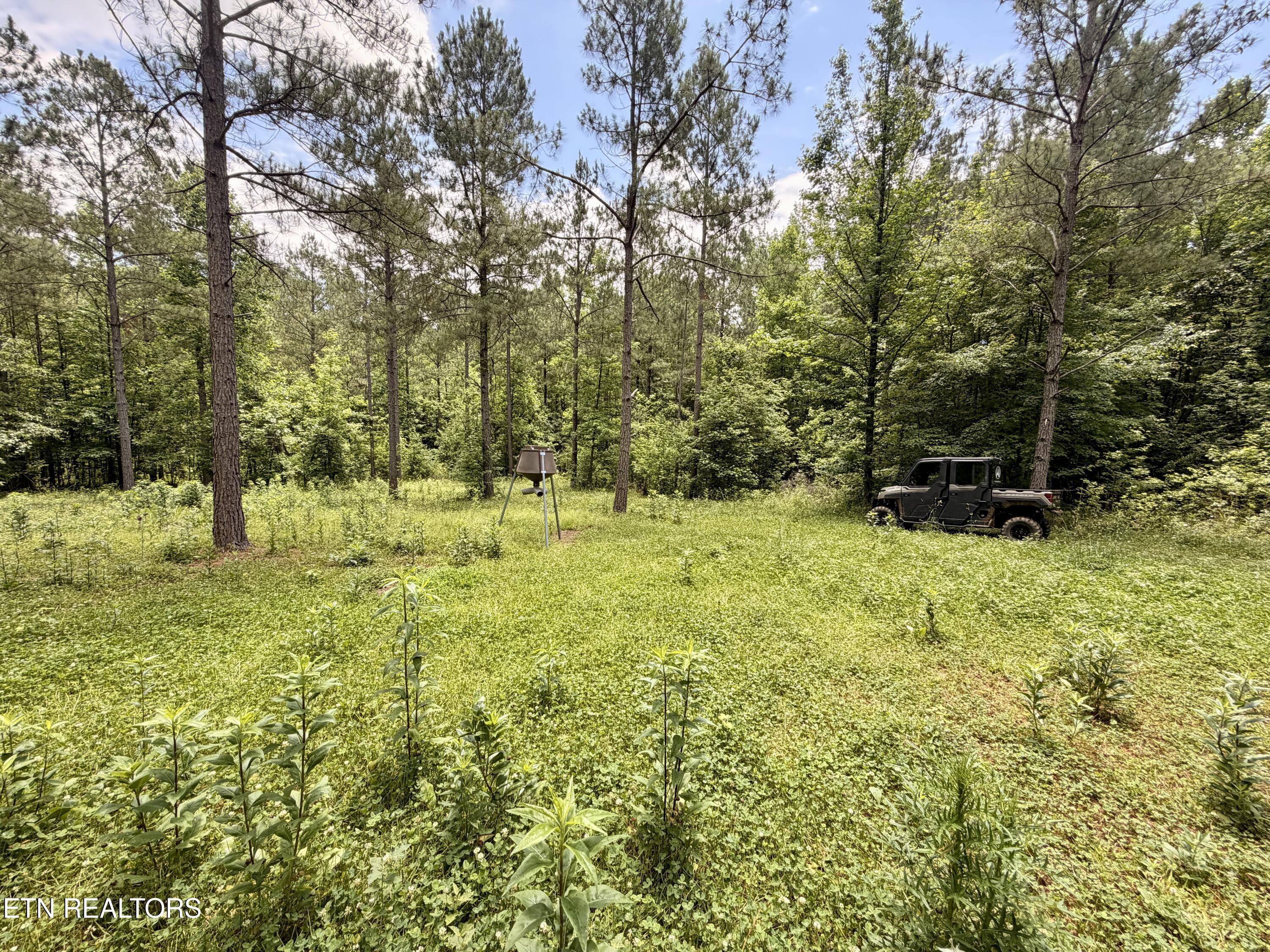 Co Road 214 Niota TN 37826