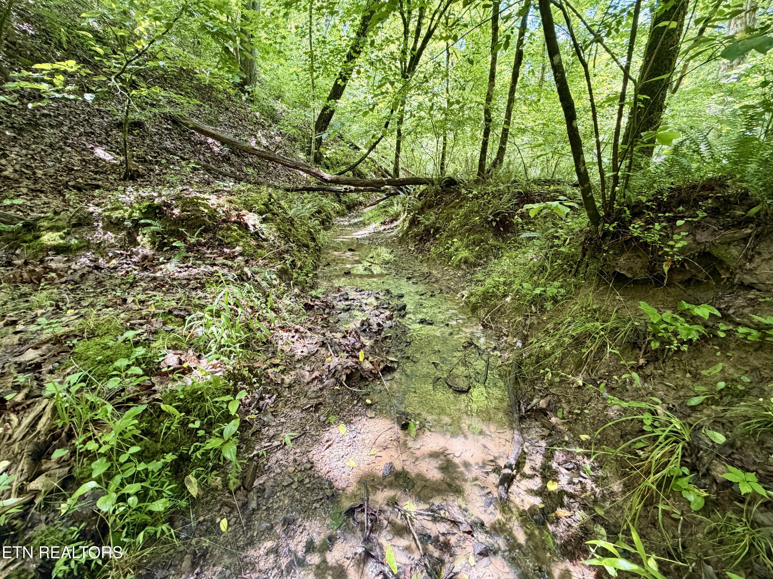 Co Road 214 Niota TN 37826