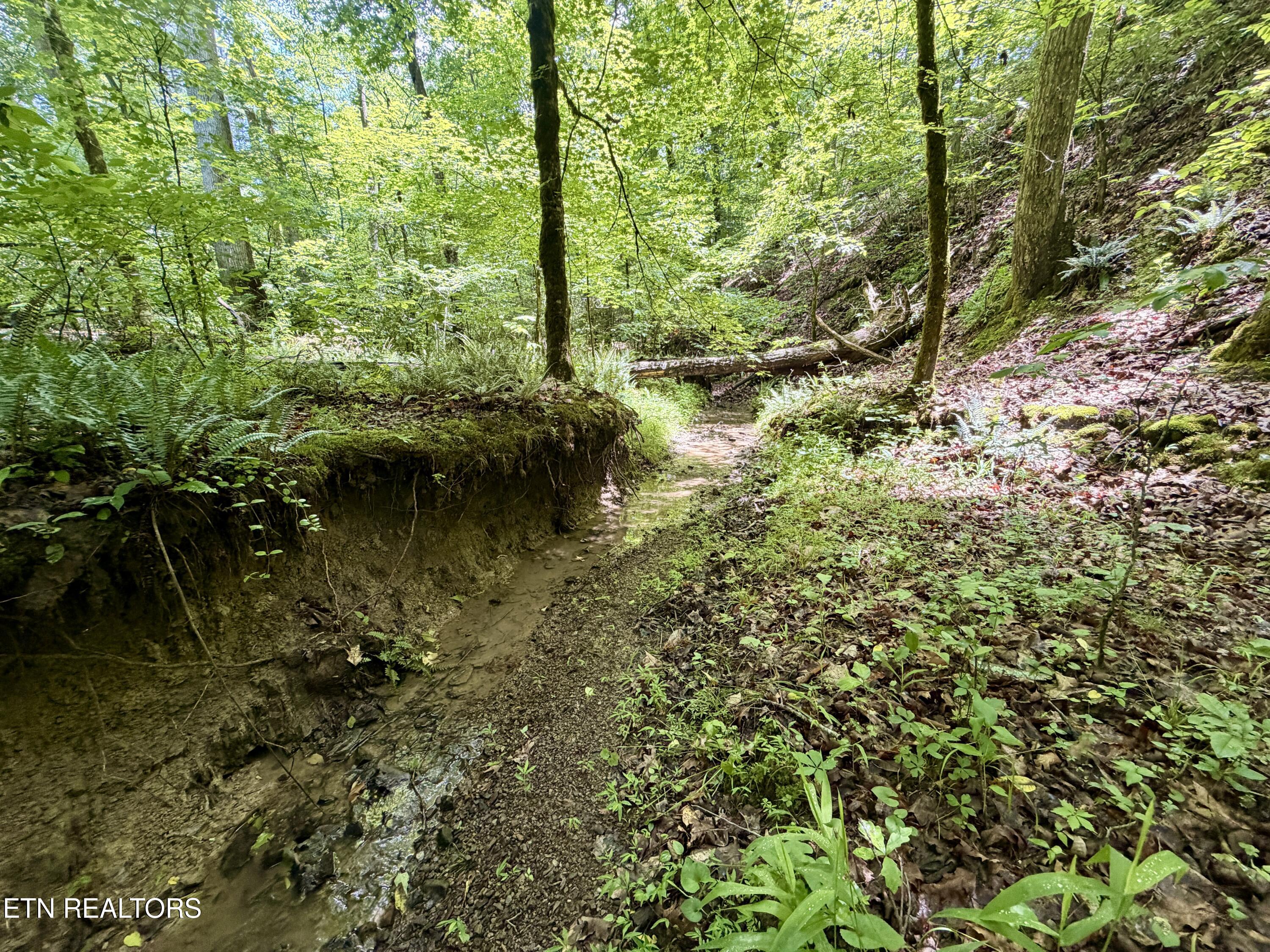 Co Road 214 Niota TN 37826