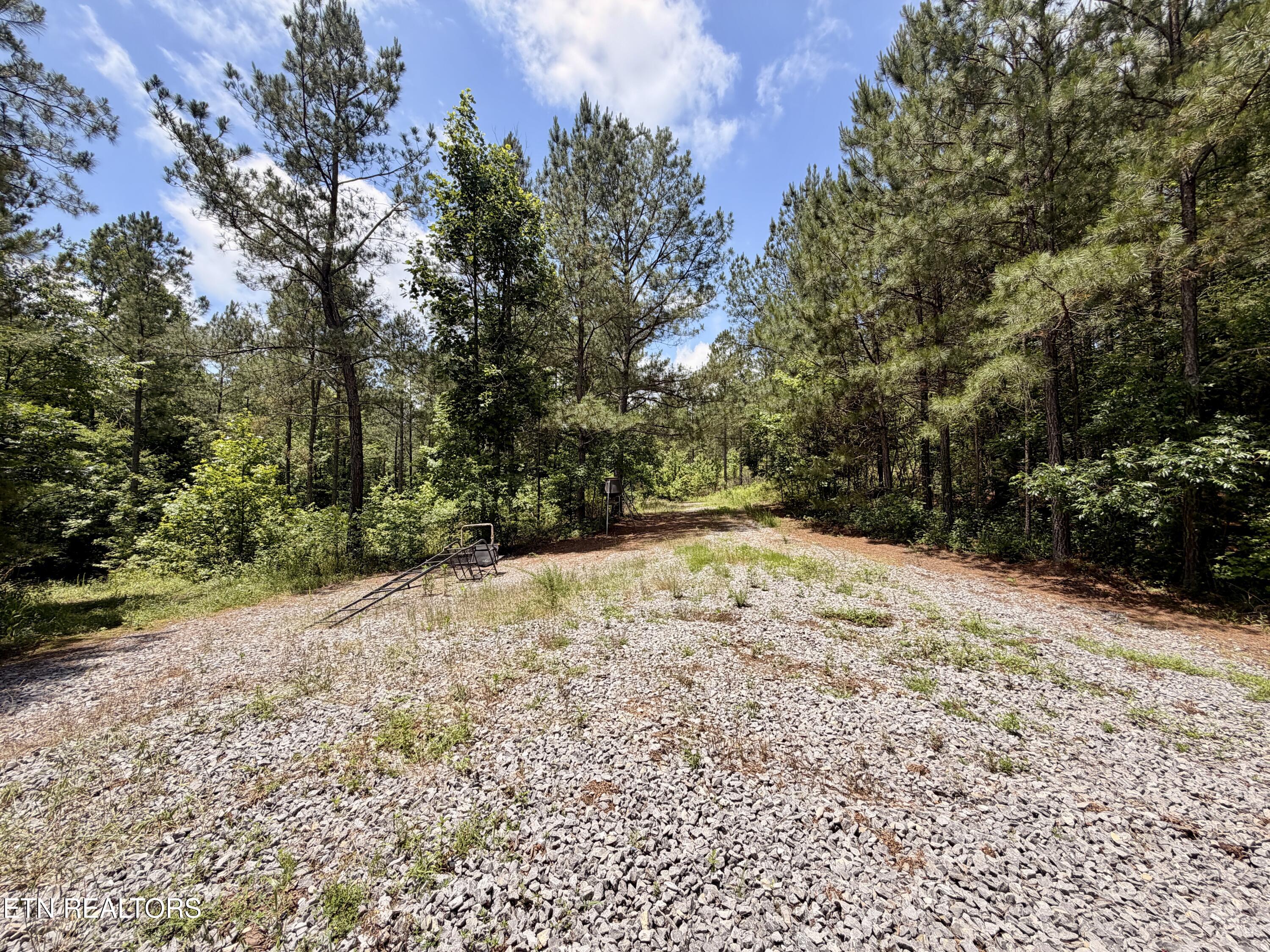 Co Road 214 Niota TN 37826