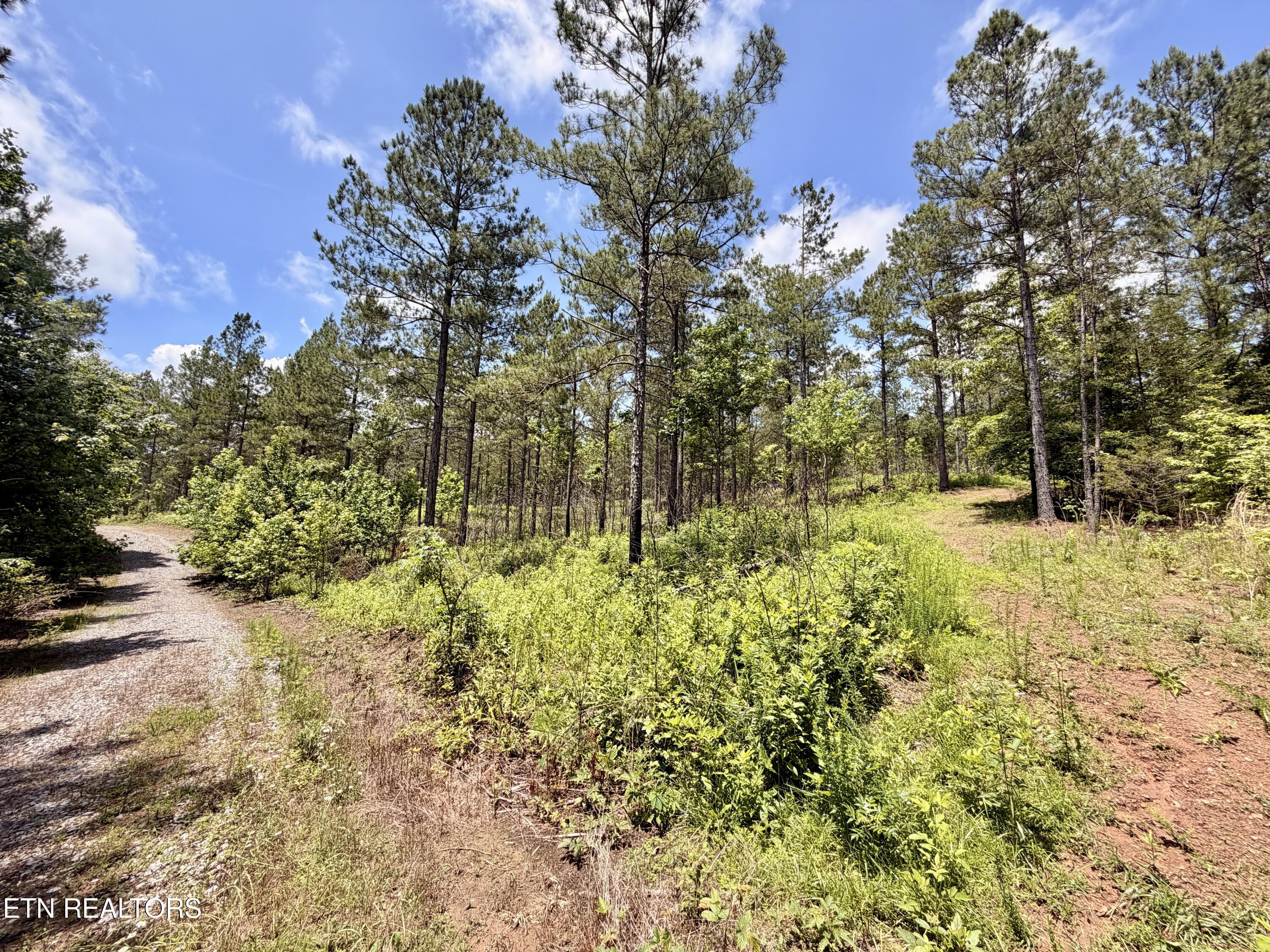 Co Road 214 Niota TN 37826