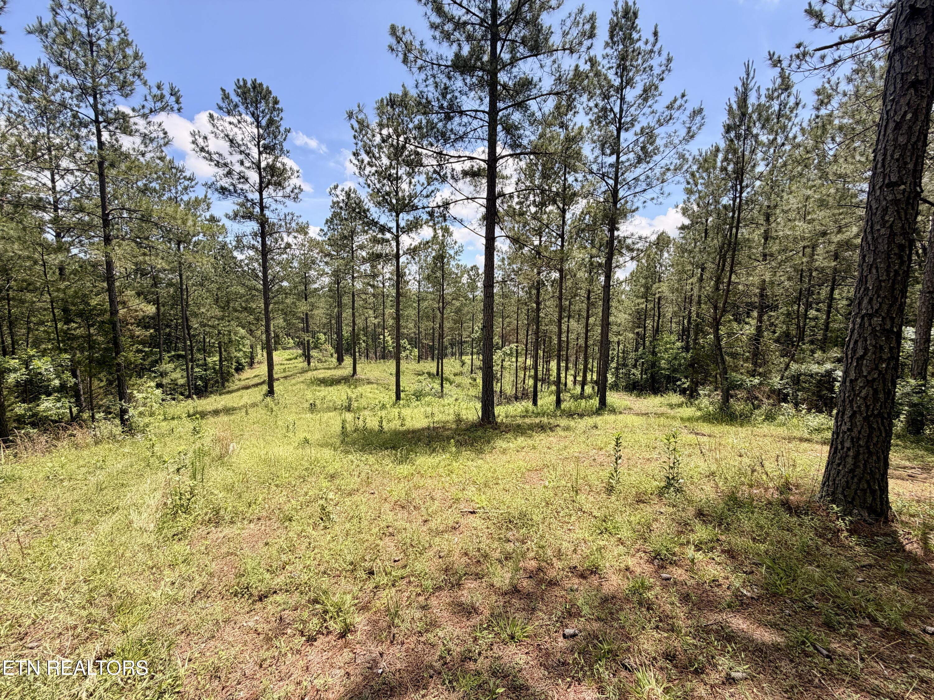 Co Road 214 Niota TN 37826