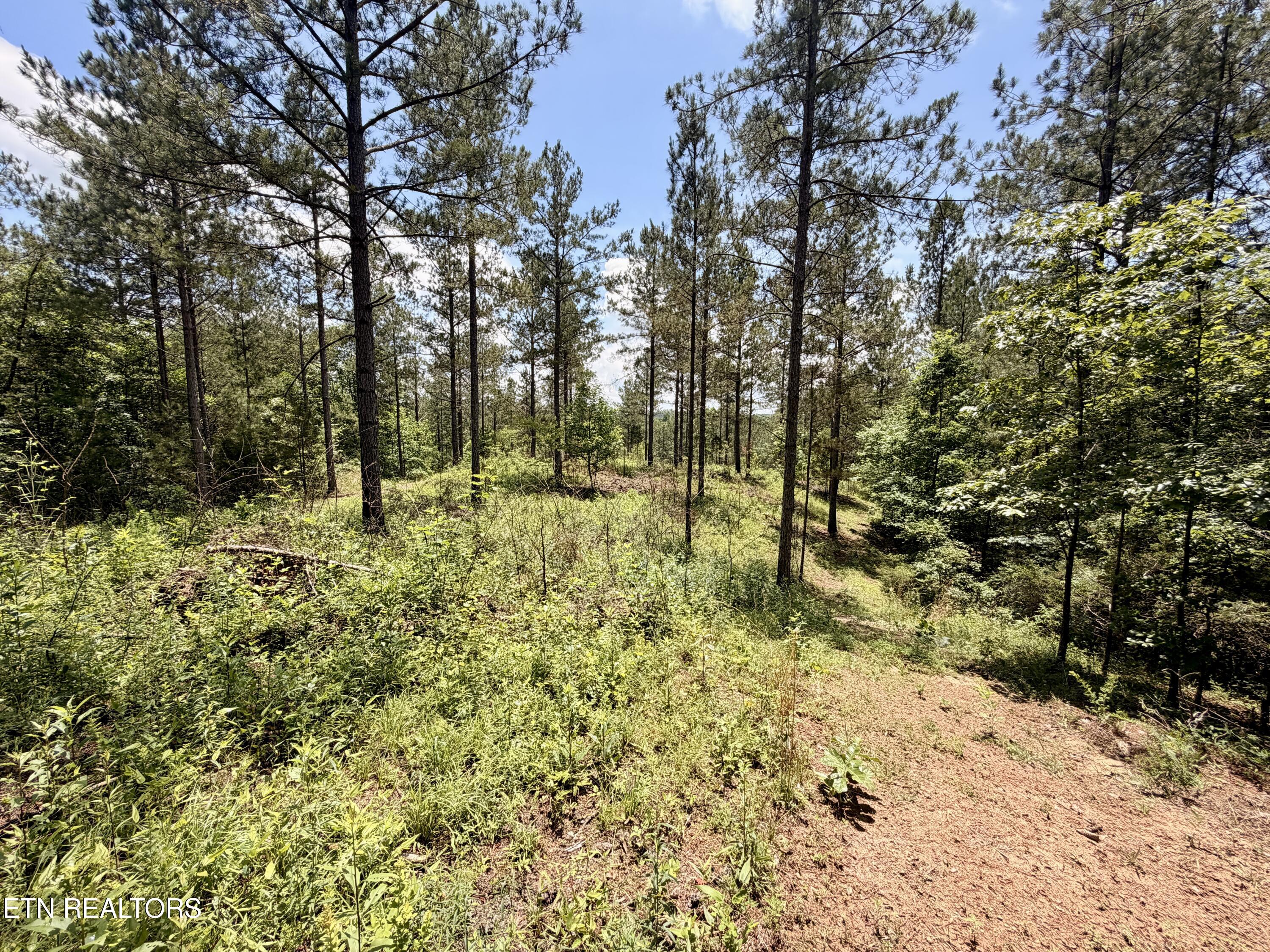 Co Road 214 Niota TN 37826