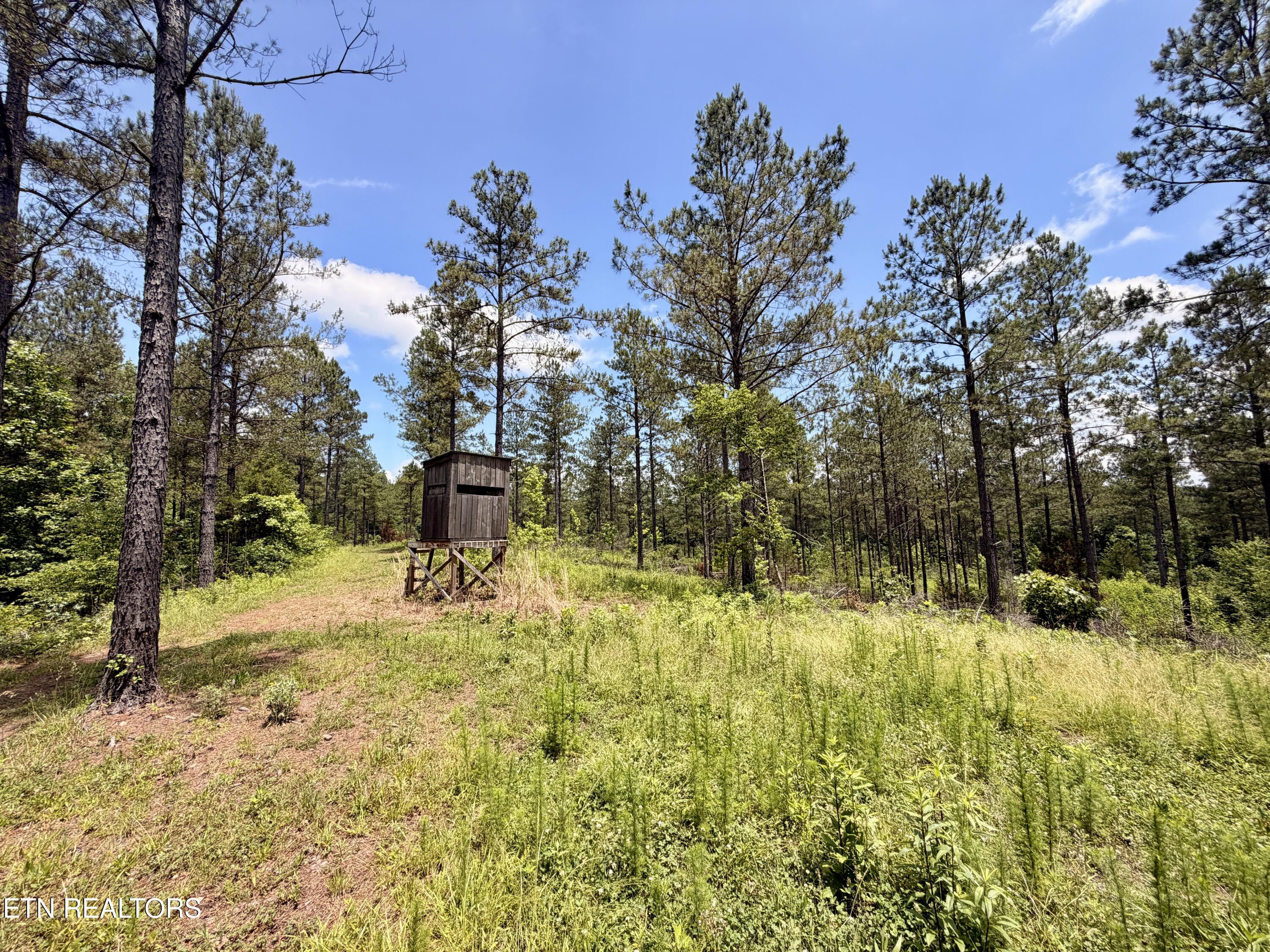 Co Road 214 Niota TN 37826