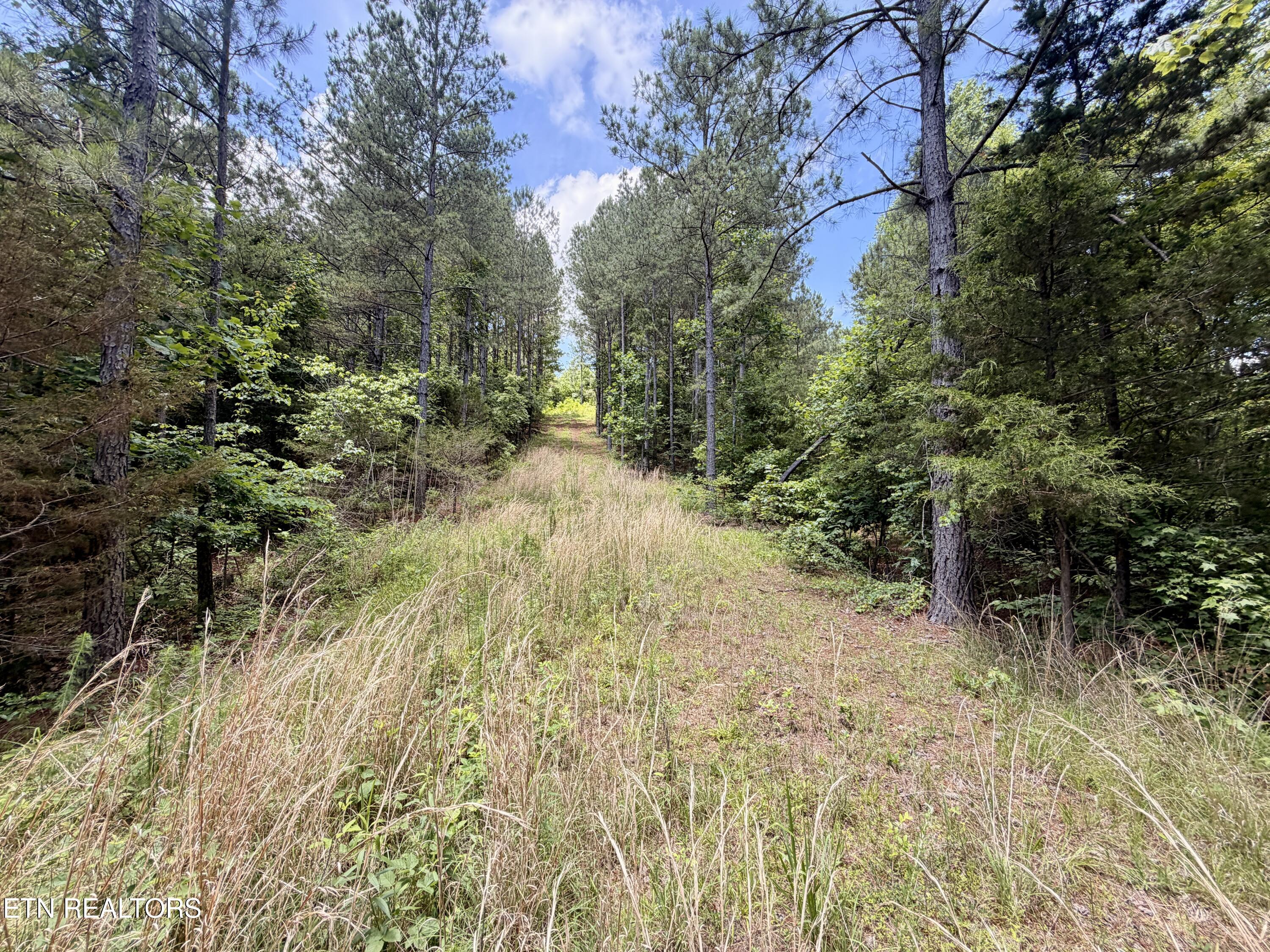 Co Road 214 Niota TN 37826