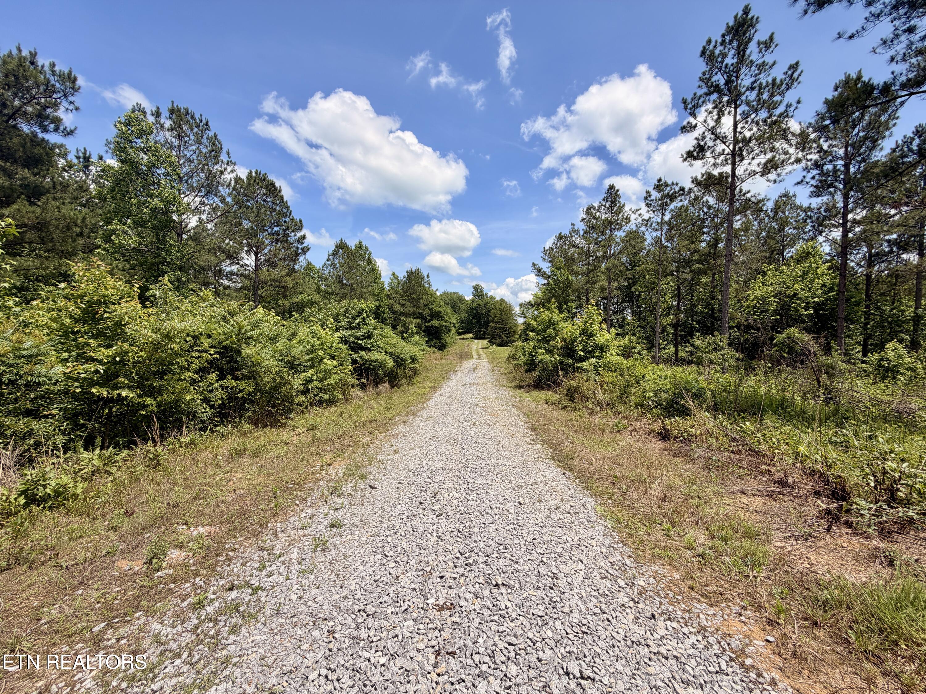 Co Road 214 Niota TN 37826