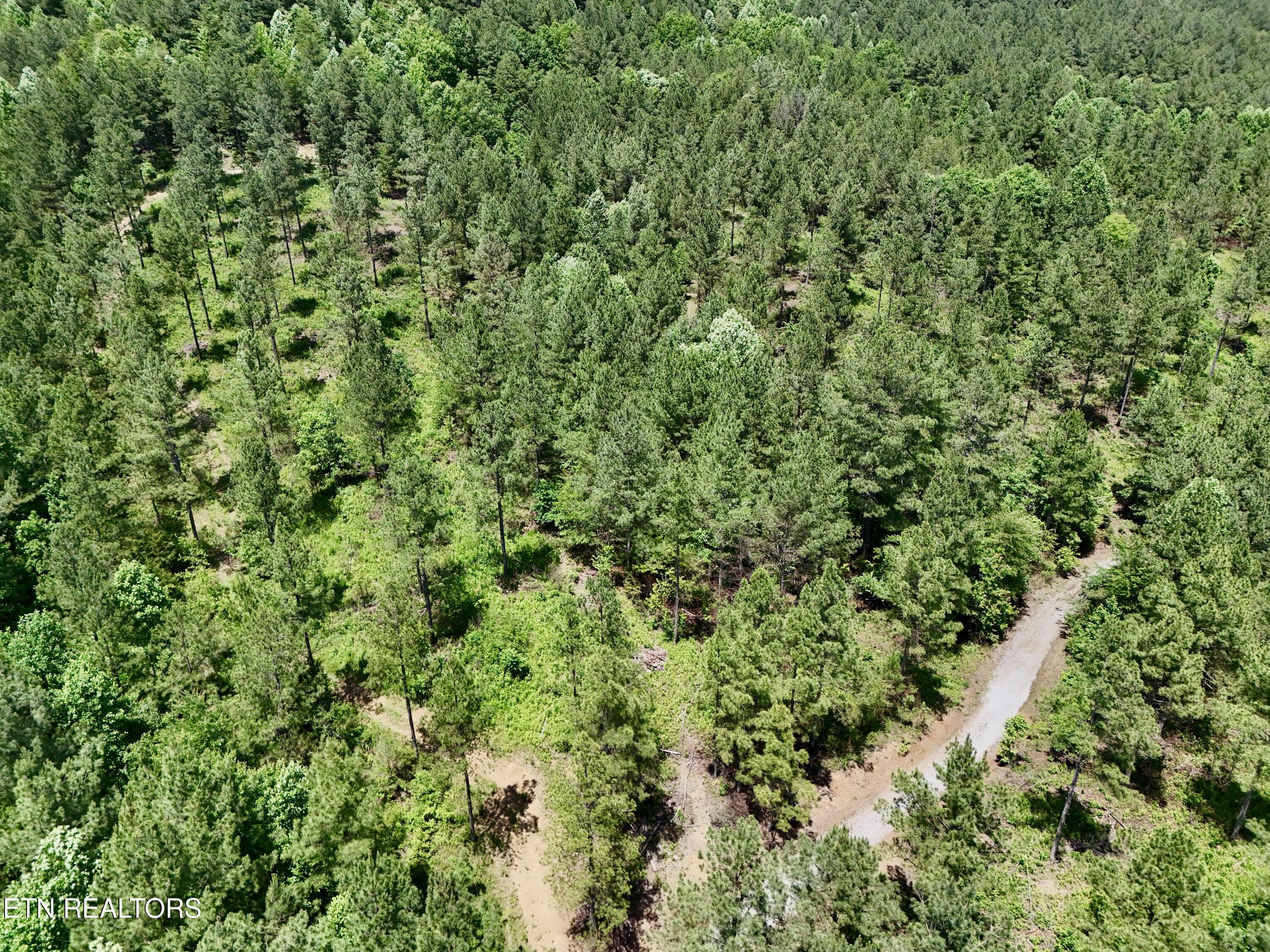 Co Road 214 Niota TN 37826