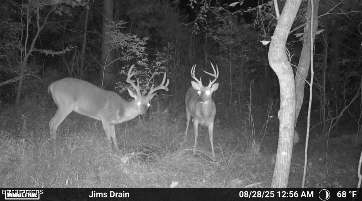 Co Road 214 Niota TN 37826