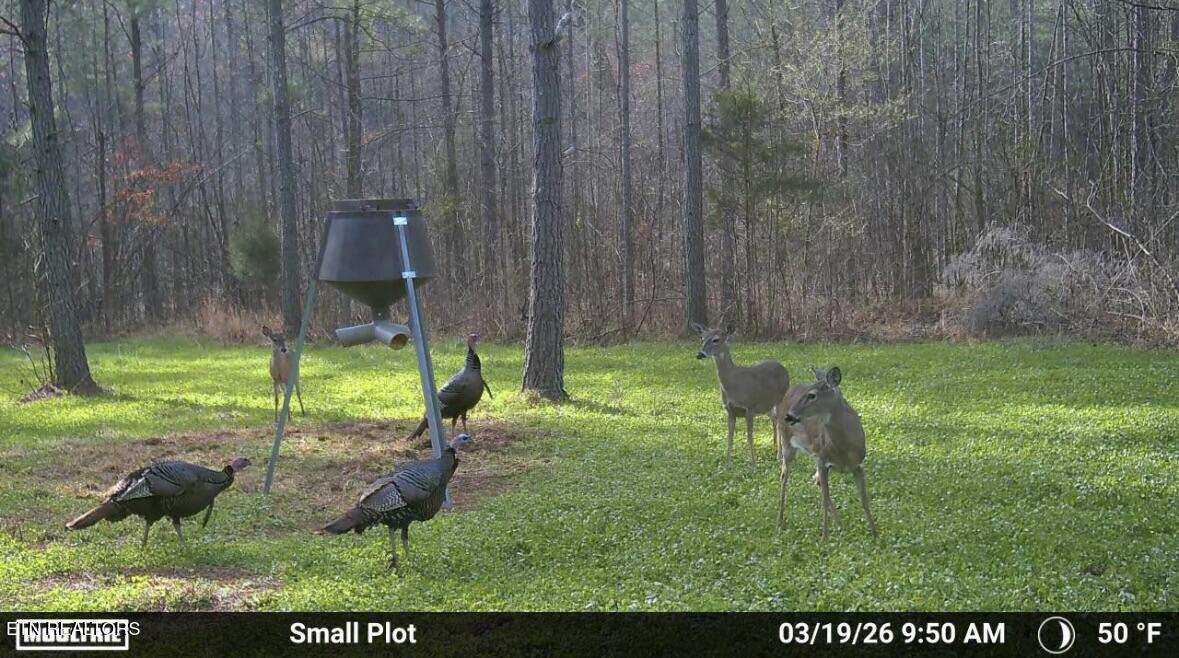 Co Road 214 Niota TN 37826