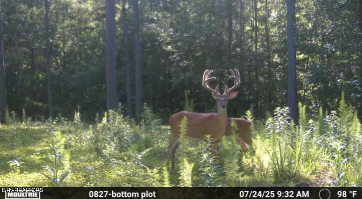 Co Road 214 Niota TN 37826