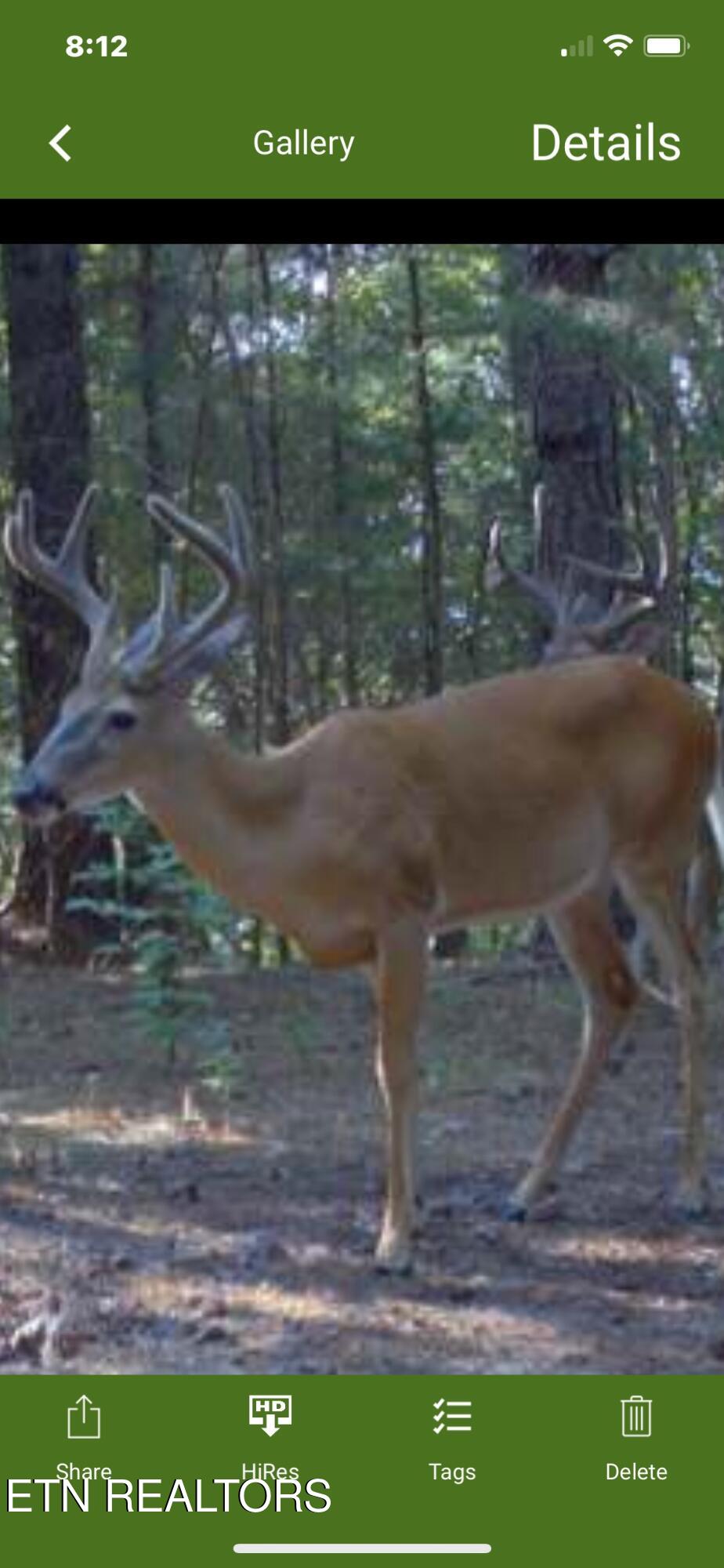 Co Road 214 Niota TN 37826