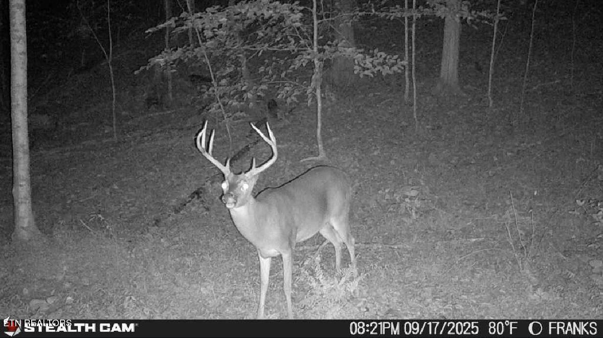 Co Road 214 Niota TN 37826