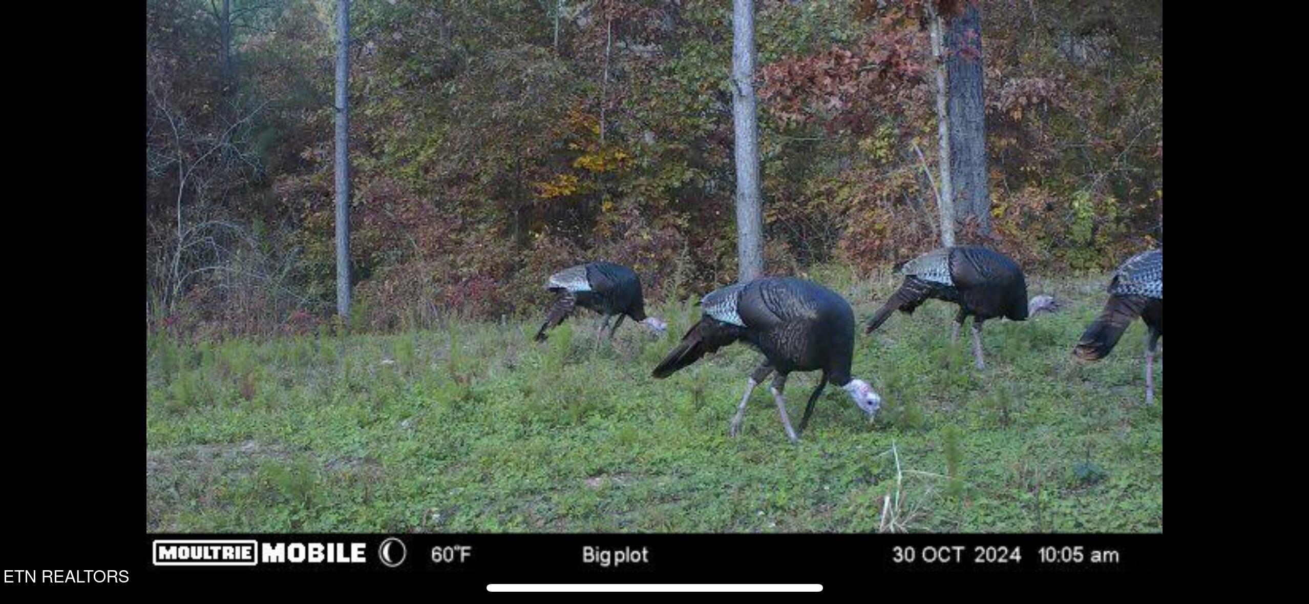 Co Road 214 Niota TN 37826